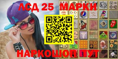apvp Свободный