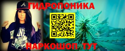 apvp Свободный