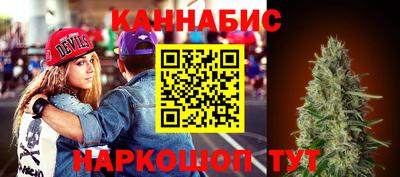 apvp Свободный
