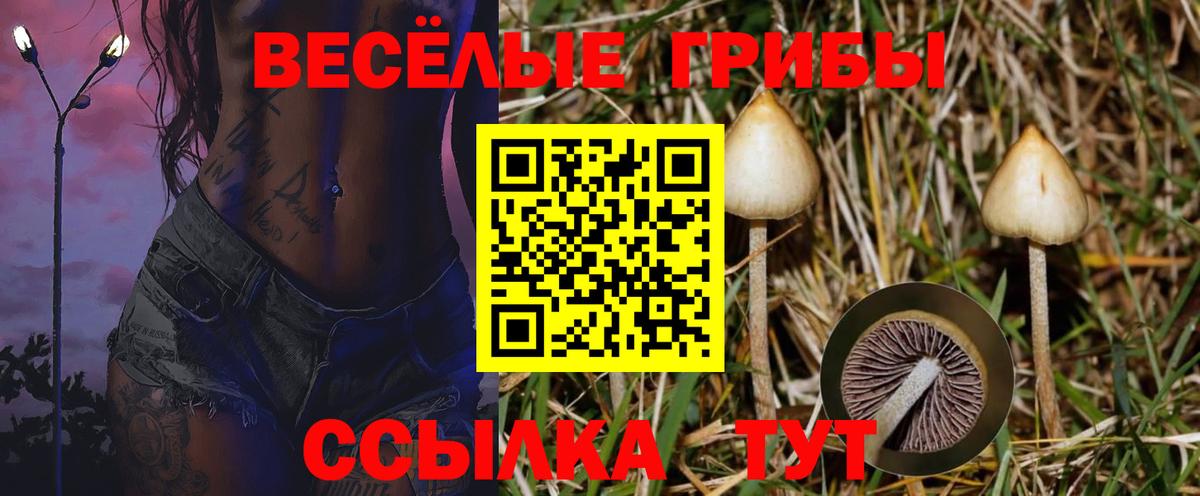 Галлюциногенные грибы Magic Shrooms  что такое   Омск  Вход с VPN  Галлюциногенные грибы прущие грибы 
