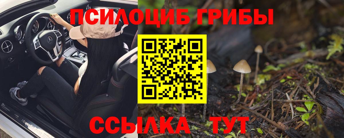 Псилоцибиновые грибы MAGIC MUSHROOMS Омск